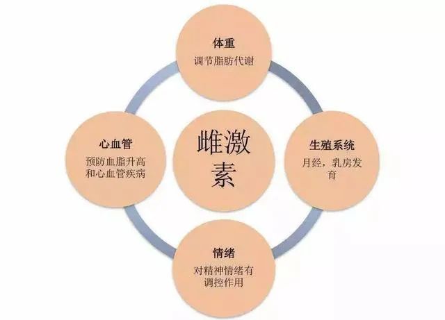 女孩們，答應(yīng)我這個器官一定要保護好