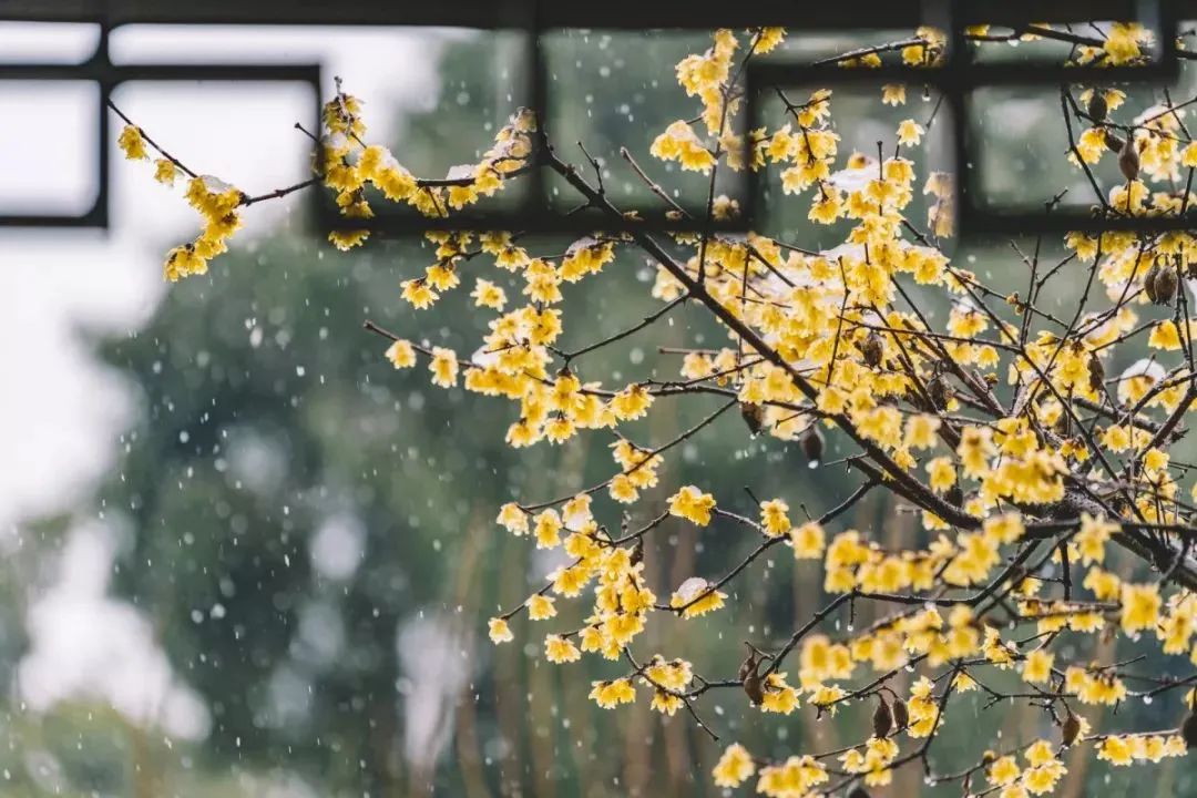 小寒，全年最冷的節(jié)氣！中醫(yī)教你正確調(diào)養(yǎng)身體